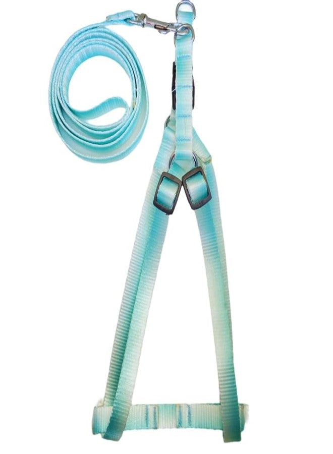 KittuPet حزام صدر للكلاب من KittuPet، بلون موحد متدرج الألوان، مناسب للتدريب والمشي، متوفر باللونين الأزرق المخضر والأخضر والأبيض، مقاس 15 مم، قطعة واحدة. - Image 1